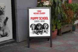 Royal Canin Signage